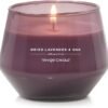 Candle Dried Lavender & Oak Studio Collection Jar Candle
