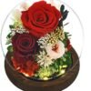 Real Forever Roses Gifts for Wife Sister Girlfriend on Mother Day Birthday Valentine Day