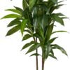 Real Touch Leaves Artificial Dracaena Plant, 4ft