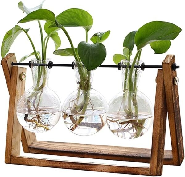 1 Plant Terrarium with Wooden Stand