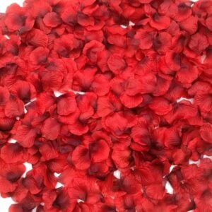 CODE FLORIST 2200 PCS Dark-Red Silk Rose Petals