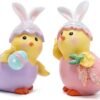 Hodao  Colorful Eggs Chickens Gnomes Decorations 2PCS