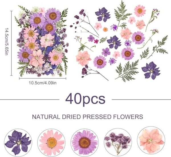 Eshow  Dried Pressed Flowers Resin 40Pcs