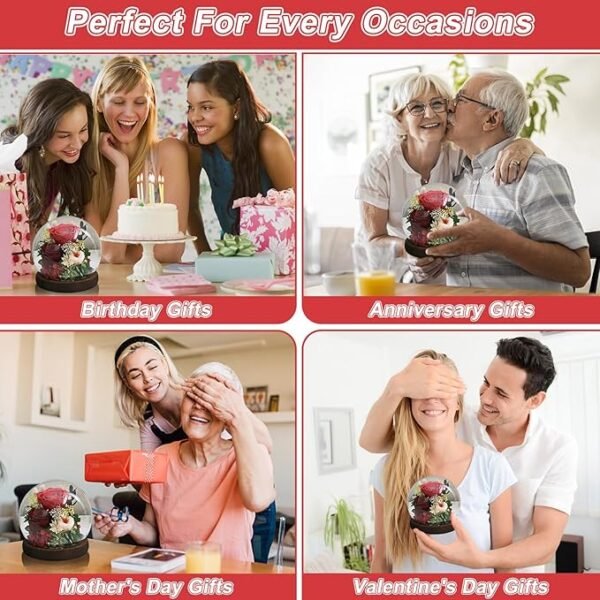 2 Real Forever Roses Gifts for Wife Sister Girlfriend on Mother Day Birthday Valentine Day