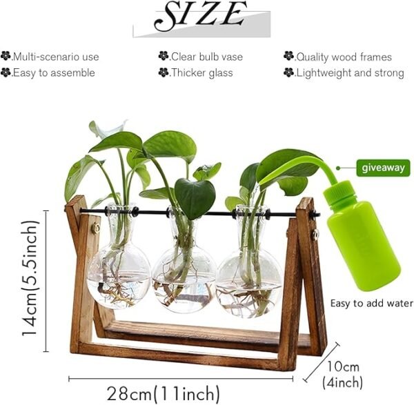 2 Plant Terrarium with Wooden Stand