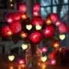 Coquimbo,  10FT 30 LED Heart Fairy String Lights