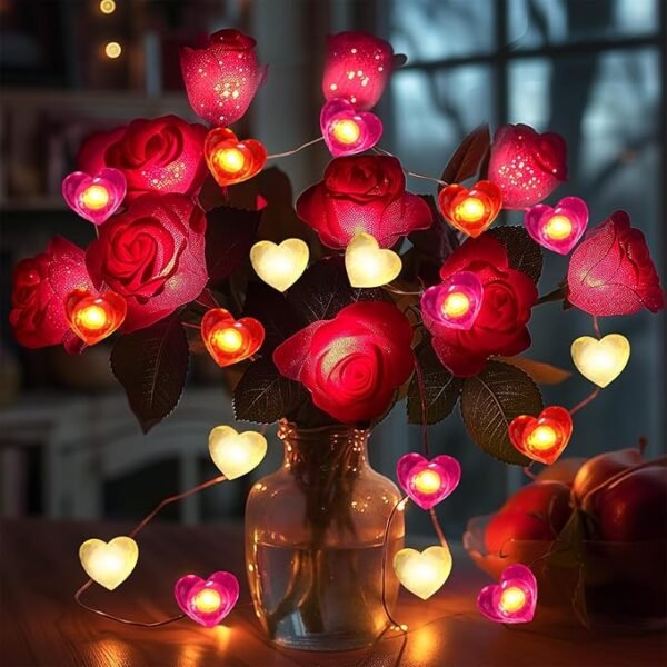 Coquimbo,  10FT 30 LED Heart Fairy String Lights