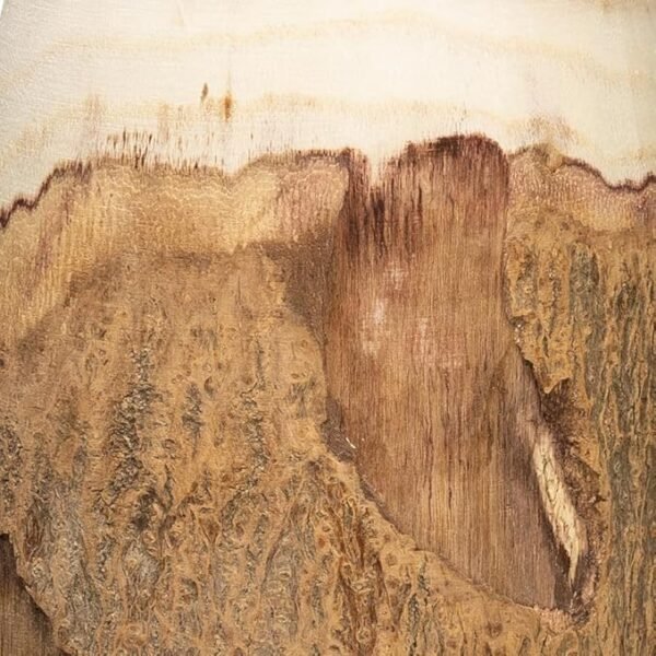 Creative Co-Op 13" H Carved Paulownia Wood