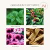Geranium Vert Mint Scented Candles