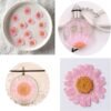 YUNZHI 50pcs Natural Dried Daisy Flower 5 Colors