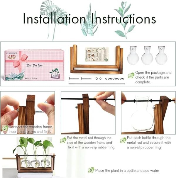 3 Plant Terrarium with Wooden Stand