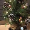 Kurt Adler Petite Treasures 12-Piece Miniature Ornaments Set, 2 Pack