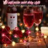 Coquimbo,  10FT 30 LED Heart Fairy String Lights