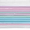 BTSKY Large Capacity Pencil Box (6 Pack Clear)