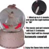 Swan Lake Music Box Ballerina Color Changing Lights Handpainted Dancing Ballerina