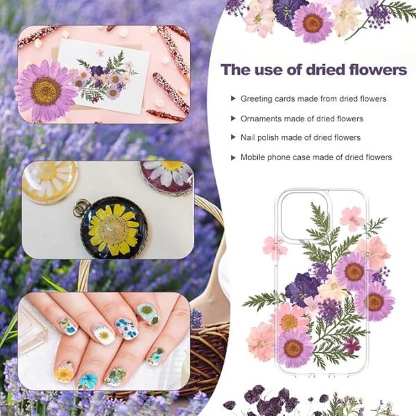 Eshow  Dried Pressed Flowers Resin 40Pcs