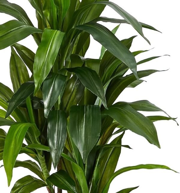 4 Real Touch Leaves Artificial Dracaena Plant, 4ft