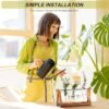 Plant Terrarium with Wooden Stand