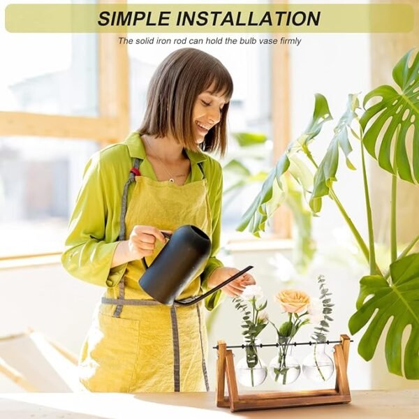 4 Plant Terrarium with Wooden Stand