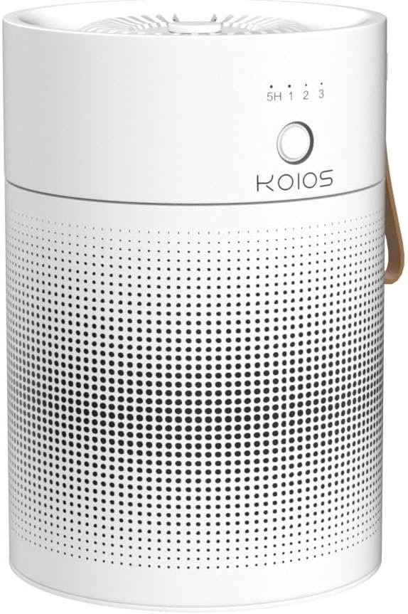 KOIOS Air Purifiers for Bedroom Home, KOIOS H13 True HEPA Filter Air Purifiers for Desktop Office Car Pets with USB Cable