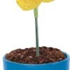 Fabulous Flowers Craft Kit