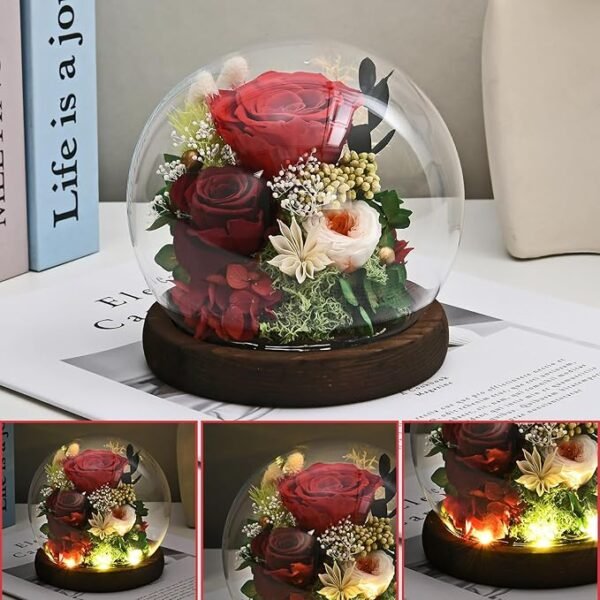 5 Real Forever Roses Gifts for Wife Sister Girlfriend on Mother Day Birthday Valentine Day