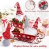 D-FantiX Gnome Christmas Ornaments Set of 4