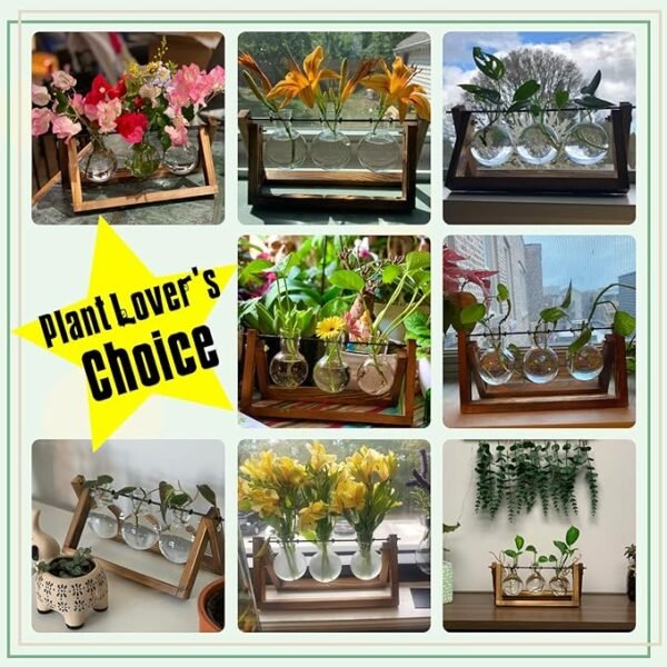 5 Plant Terrarium with Wooden Stand