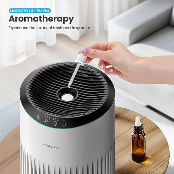 MORENTO Air Purifiers for Home, Air Purifier for Smoke Pet Dander Odors with Fragrance Sponge
