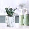 Set of 3 Small Artificial Succulent Potted Plants