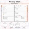CRANBURY 2025 Planner Book 8.5x11 (Watercolor)