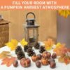 20 Pcs Realistic Pumpkin Decorating Kit, Pumpkin Decor with Maple Leaves