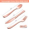 HOMIX 175 Pieces Rose Gold Party Supplies