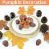 20 Pcs Realistic Pumpkin Decorating Kit, Pumpkin Decor with Maple Leaves
