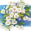 2 Daisy 3D Pop Up Butterfly Greeting Card Gift