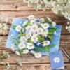 4 Daisy 3D Pop Up Butterfly Greeting Card Gift