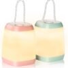 2 Pack Battery Powered LED Camping Lantern Portable Outdoor Tent Emergency Light
