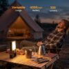 Rechargeable LED Camping Lanterns Dimmable Emergency Flashlight Lights Two Pack