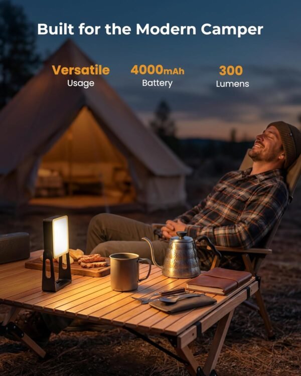 Rechargeable LED Camping Lanterns Dimmable Emergency Flashlight Lights Two Pack