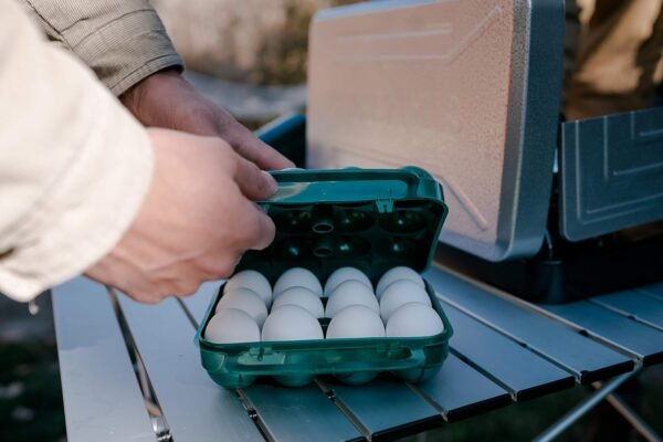 Egg Storage Container for Camping Travel Durable Portable Egg Carrier Case