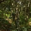 Lightweight 3D Leafy Ghillie Suit Set for Hunting Outdoor Concealment