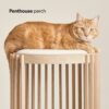 Modern Mid-Century Cat Tower with Two Levels and Shearling Beds