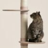 Modern Cat Tree with Three Adjustable Platforms and Sisal Scratching
