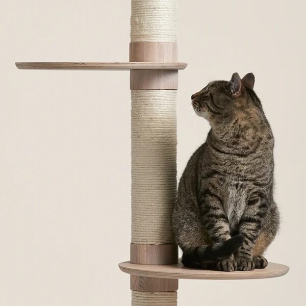 Modern Cat Tree with Three Adjustable Platforms and Sisal Scratching