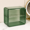 Adjustable Two Tier Green Acrylic Desk Organizer Storage Shelf Rack