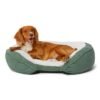 Memory Foam Oval Bolstered Dog Bed with Soft Chenille Cover