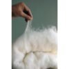 Merino Wool Comforter - Organic, Limited Color Edition