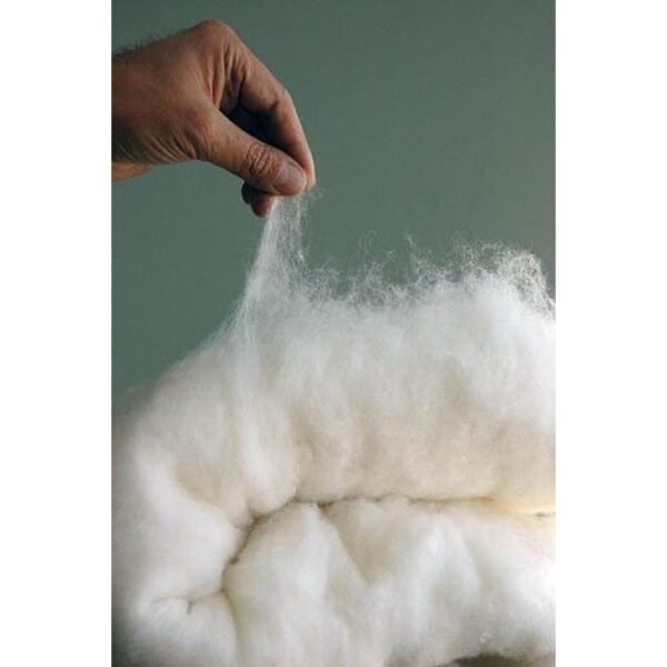 Merino Wool Comforter - Organic, Limited Color Edition